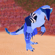 Juvenile Luxsces