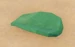 Aloe Vera Leaf