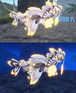 Glimmer Koini during day and night