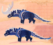 Adult male (above) and female (below) Therolachus