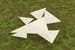Bone fragments
