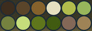 Kiiwin's primary color palette