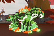 Clover female Koryser