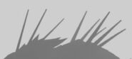 Dowatt teaser