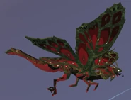 Zombified male Momola