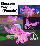 Blossom Yiepir