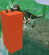 Garra Warden hitbox