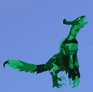 Emerald female Prabiki