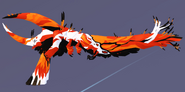 Clownfish male Tornir