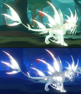 Leucistic + Glimmer Gloracus day/night