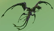 Overgrown Zakaiodrak