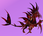 Blood Moon + Glimmer Gloracus