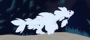 Albino Koini, side view