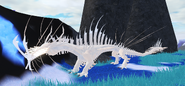Leucistic Magnarothus