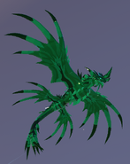 Emerald Glovaucus, under view