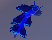 Sapphire Cupuere