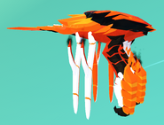Clownfish Kavouradis, side view