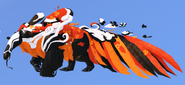 Clownfish male Aseliorus