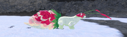 Juvenile Furnilixii