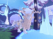 Leucistic Ghartokus