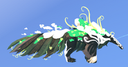 Shimmer + Glimmer Aseliorus