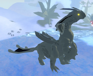 Old Melanistic Nindyr
