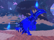 Sapphire female Qurugosk
