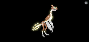 Former Glimmer female Prabiki
