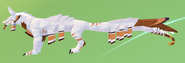 Old Piebald male Vetemortem