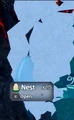 Example of aquatic recode nest, with only one egg.