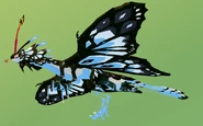 Elemental Momola