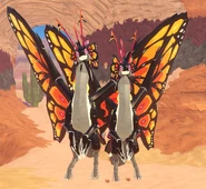 Gigantism (left) and normal (right) Momola