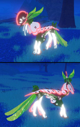 Shimmer + Glimmer Aholai