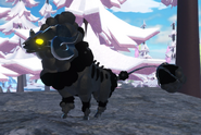 Previous model Melanistic + Glimmer Cottol