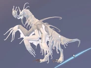 Leucistic Garra Warden