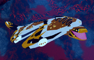 Piebald Cupuere