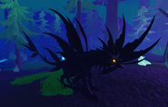 Melanistic female Gloracus