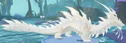 Leucistic Auraron