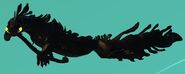 Melanistic Glysgadota