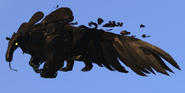 Melanistic male Aseliorus