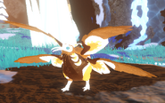 Piebald Kiiwin