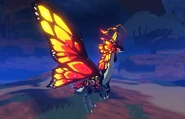 Glimmer Momola
