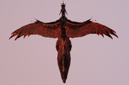Blood Moon Erridea, top view