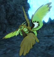 Adult Kiiwin