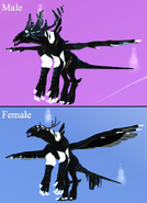 Custom Shimmer Qurugosk, highlighted