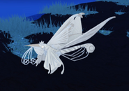 Leucistic Yiepir