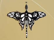 Custom Shimmer Momola, back view