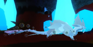 Leucistic Gryvila in a dark area