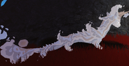 Leucistic Olatua