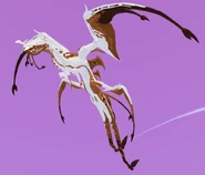 Piebald Zakaiodrak